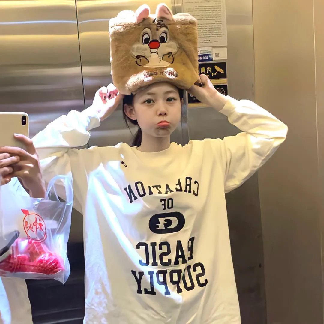 公园路的猫们